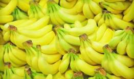 香蕉网视频,揭秘生活百态，带你领略人间烟火